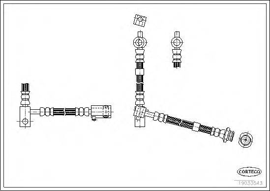 CORTECO 19033543
