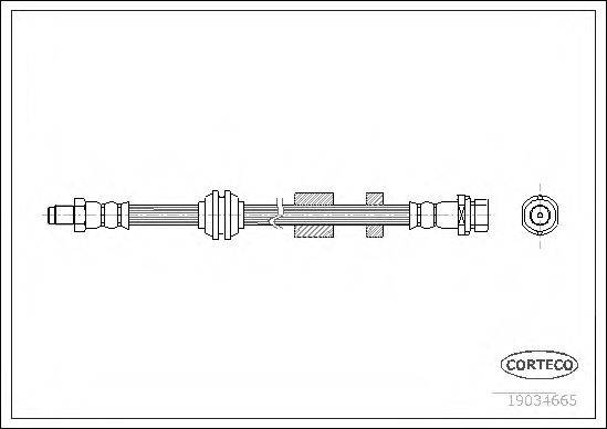 CORTECO 19034665 Гальмівний шланг