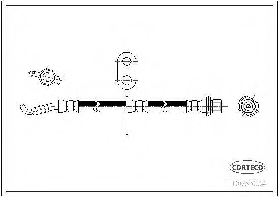 CORTECO 19033534