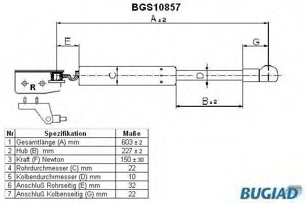 BUGIAD BGS10857