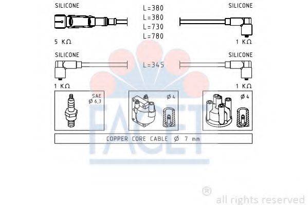 FACET 4.9569