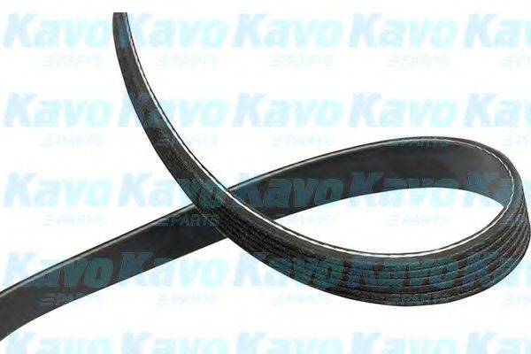 KAVO PARTS DMV4507 Полікліновий ремінь