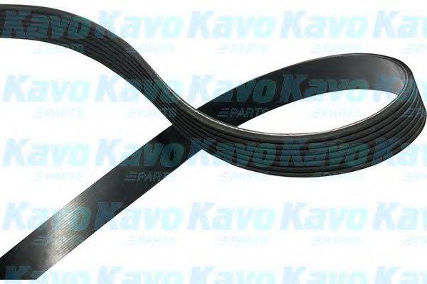 KAVO PARTS DMV6542 Полікліновий ремінь