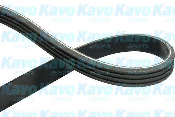 KAVO PARTS DMV9014 Полікліновий ремінь