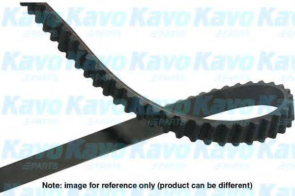 KAVO PARTS DTB9033 Ремінь ГРМ