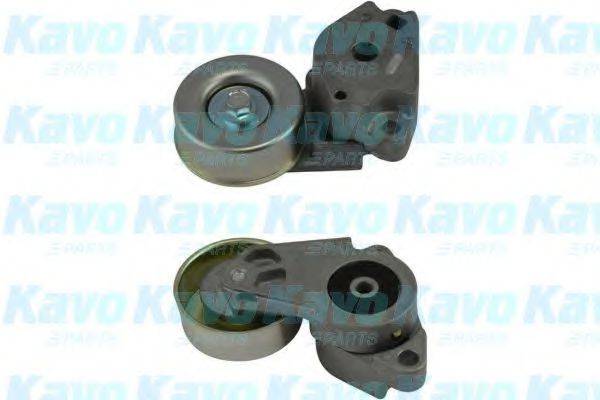 KAVO PARTS DTP-5503