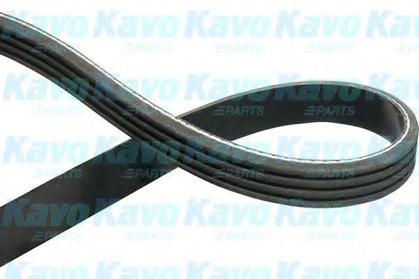 KAVO PARTS DMV-4021