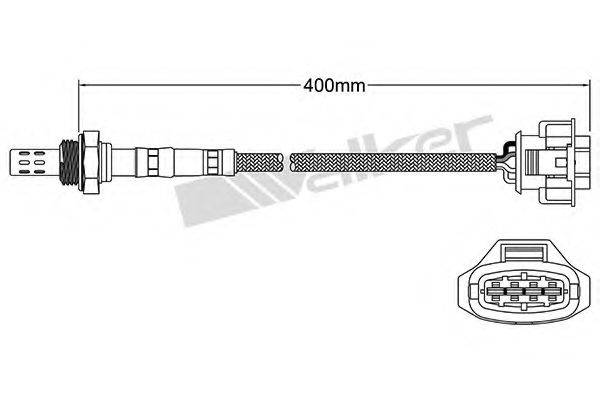 WALKER PRODUCTS 25024647 Лямбда-зонд