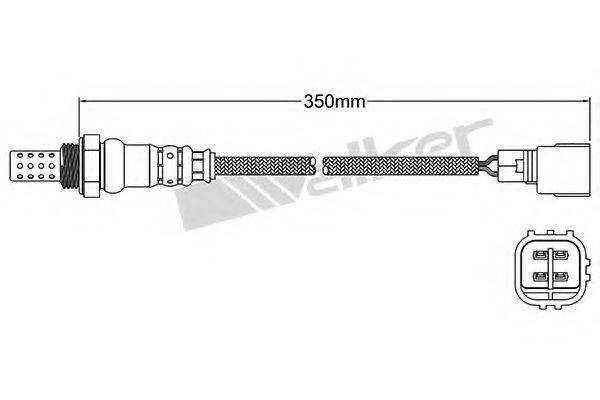 WALKER PRODUCTS 250-24906