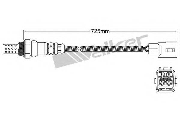 WALKER PRODUCTS 25024889 Лямбда-зонд