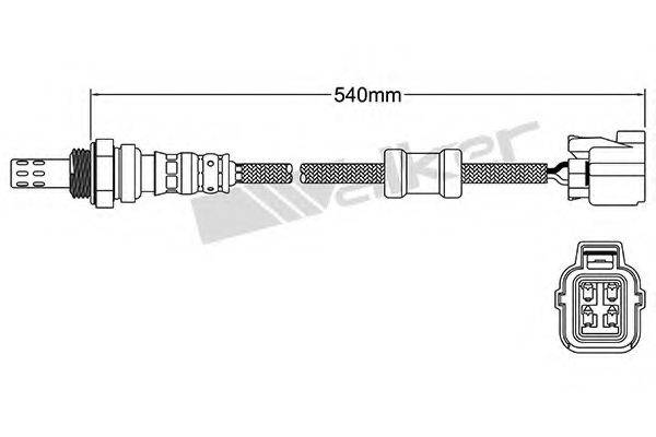 WALKER PRODUCTS 250-24429