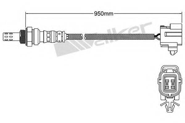 WALKER PRODUCTS 25024362 Лямбда-зонд