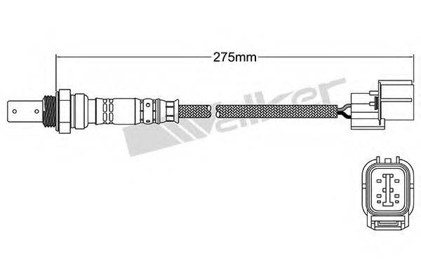 WALKER PRODUCTS 250-54076