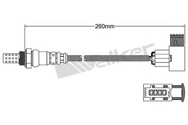 WALKER PRODUCTS 25024650 Лямбда-зонд