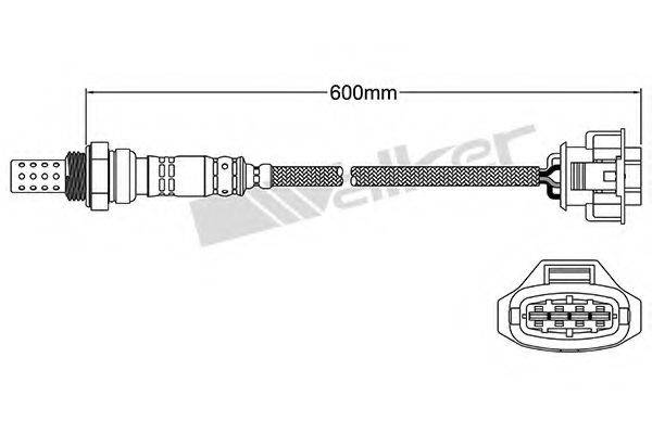 WALKER PRODUCTS 250-24571