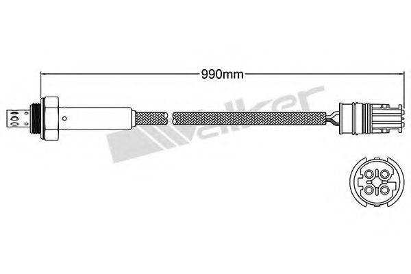 WALKER PRODUCTS 250-24810