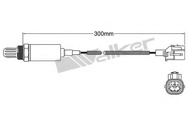 WALKER PRODUCTS 25021074 Лямбда-зонд