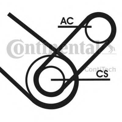 CONTITECH 4PK874 ELAST T1