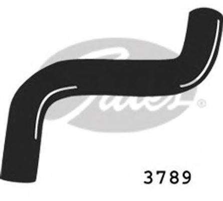 FIAT 7693039 Шланг радіатора