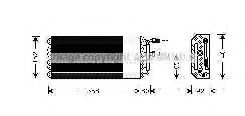 PRASCO OLV049