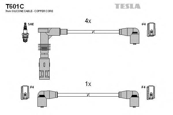 TESLA T601C