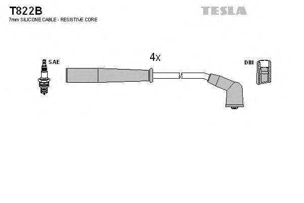 TESLA T822B