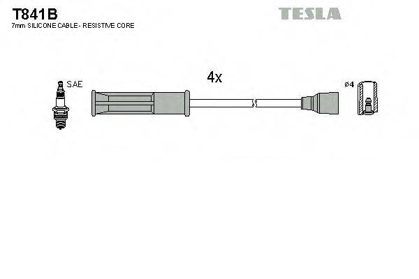 TESLA T841B