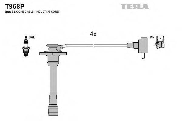 TESLA T968P