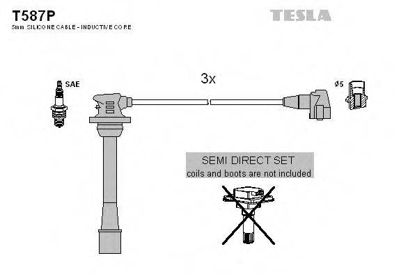 TESLA T587P