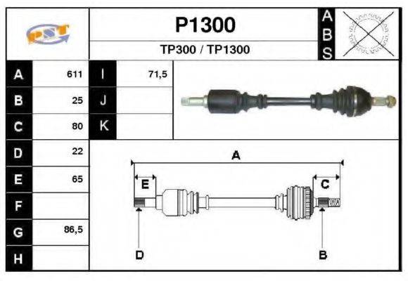 SNRA P1300