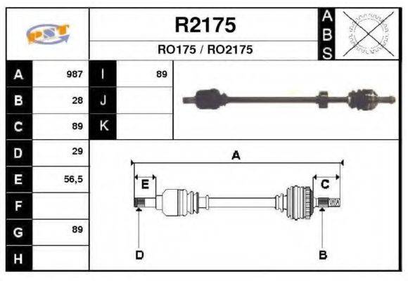 SNRA R2175