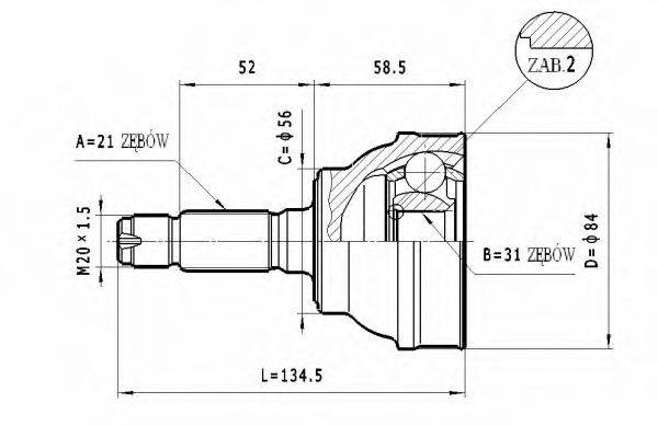 STATIM C.101