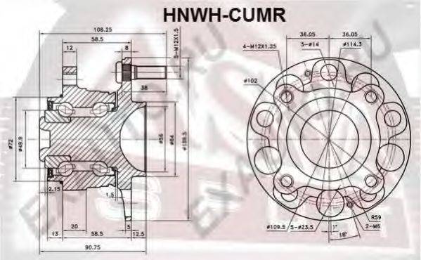 ASVA HNWH-CUMR