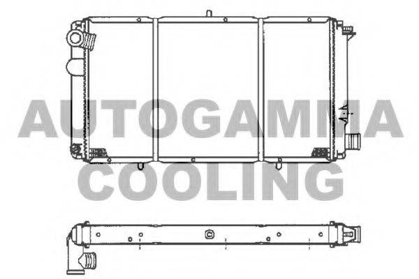 AUTOGAMMA 100170 Радіатор, охолодження двигуна