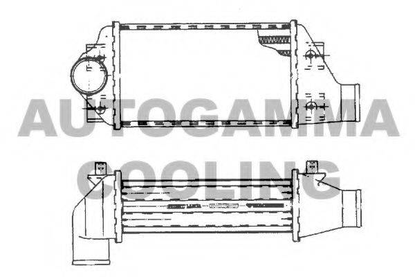 AUTOGAMMA 101482