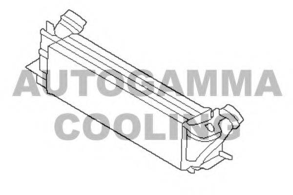 BMW 17117618768 Інтеркулер