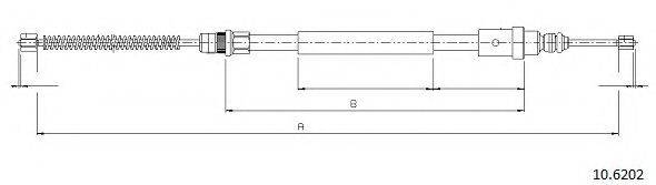 CABOR 10.6202