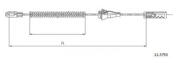 CABOR 11.5793