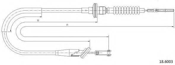 CABOR 18.6003