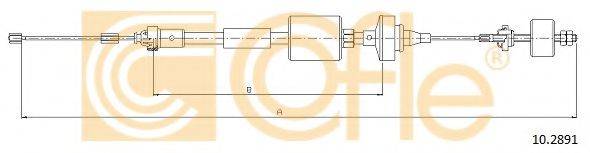 COFLE 10.2891