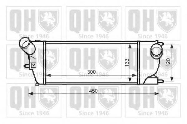 QUINTON HAZELL QIC135