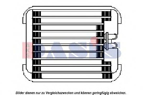 AKS DASIS 820121N